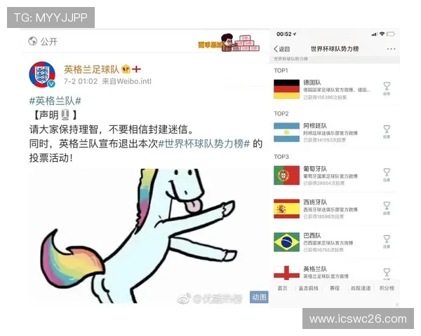 白岩松俄罗斯世界杯报道中的精彩瞬间与他对赛事的深度分析